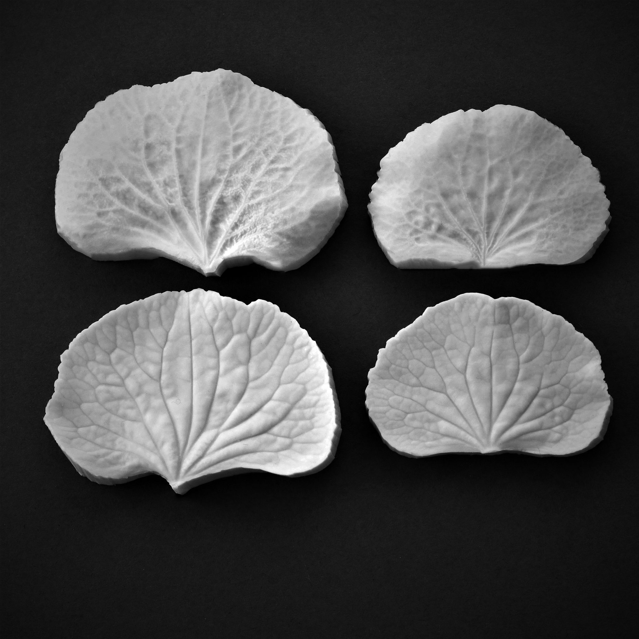061 Hydrangea Large petal set of 2 Top View