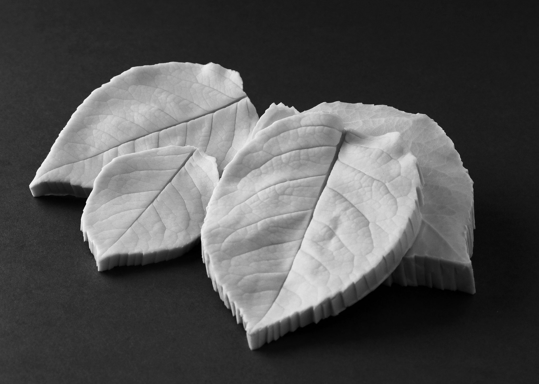 170 Rose leaves full page