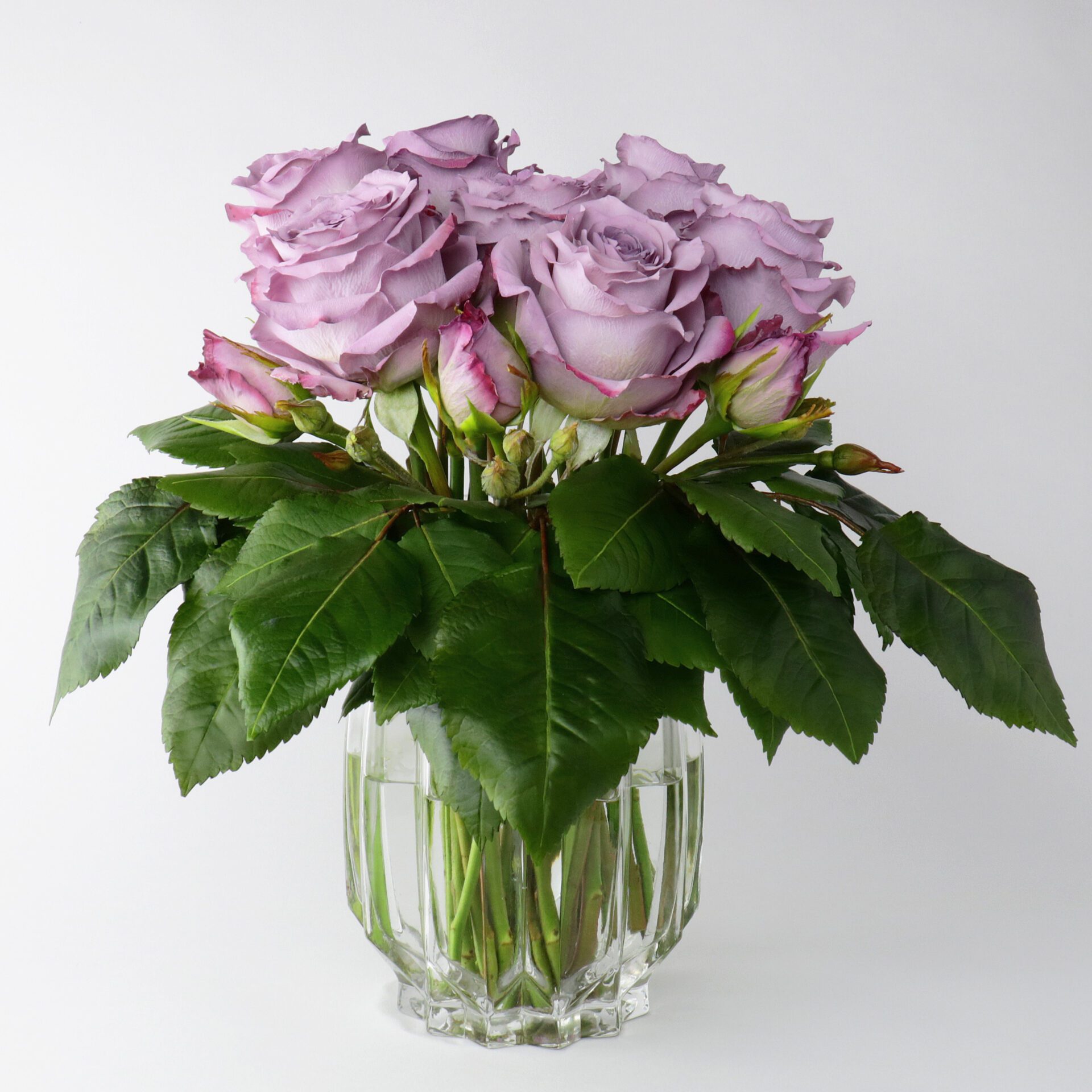 Sugar Memory Lane Roses Square