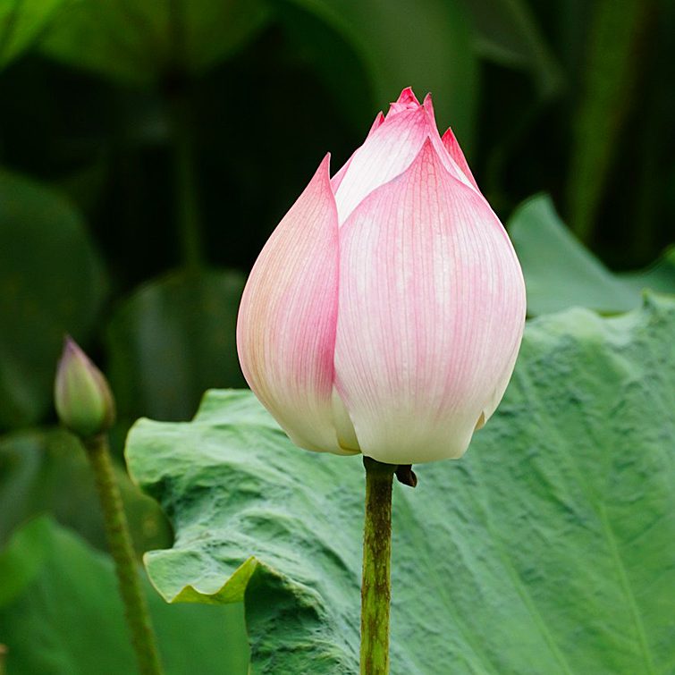 duy-le-duc-raSlWZnJ9GQ-unsplash