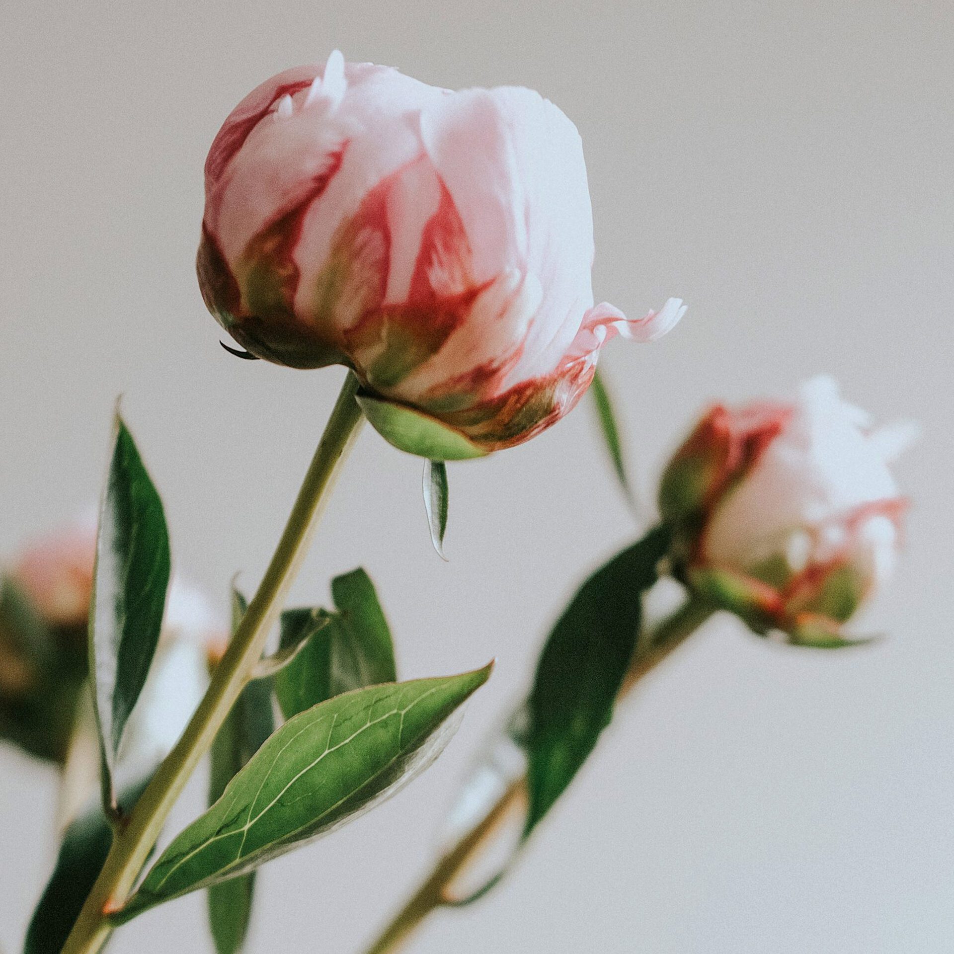 zoe-mccrum-twLC379XTMs-unsplash