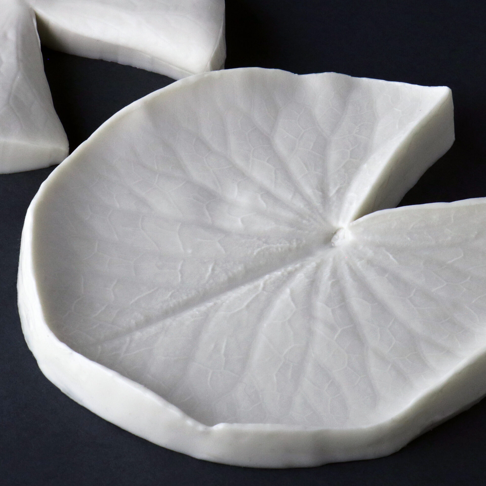 2021-03-29 00.00.59a