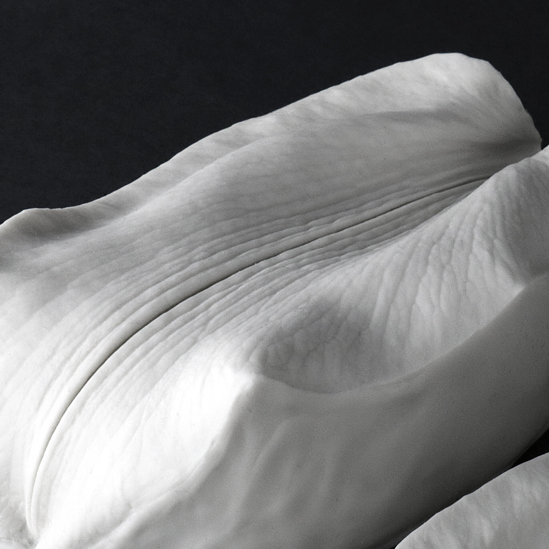 2021-03-29 00.23.42a