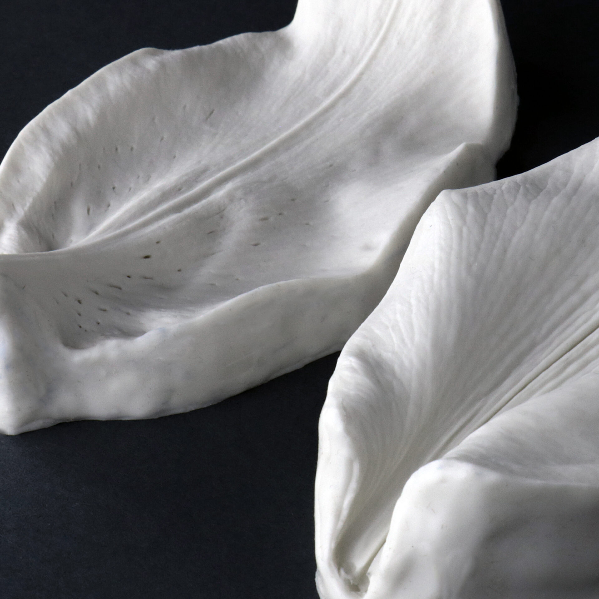 2021-03-29 00.26.02.ajpg