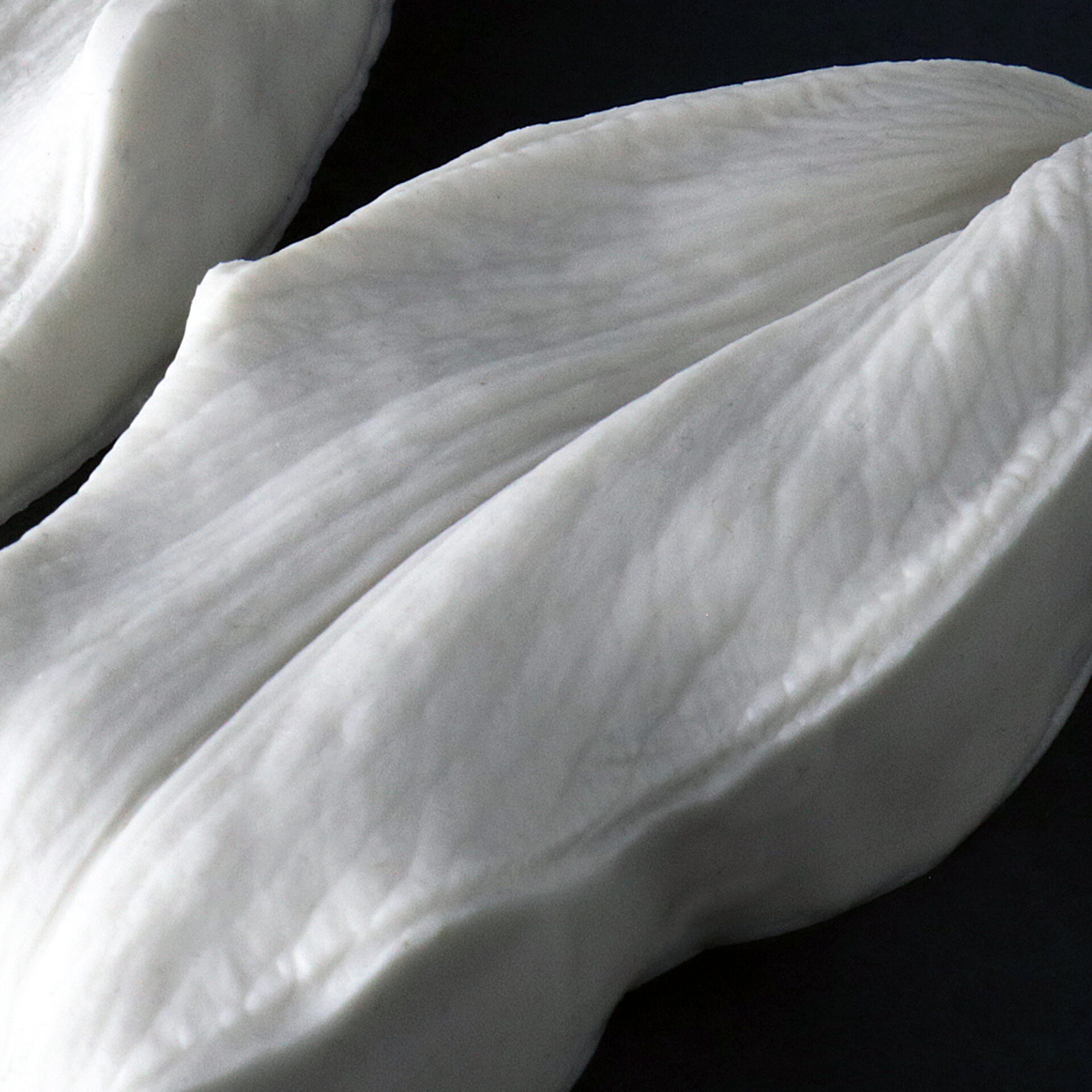 2021-03-29 00.28.05a