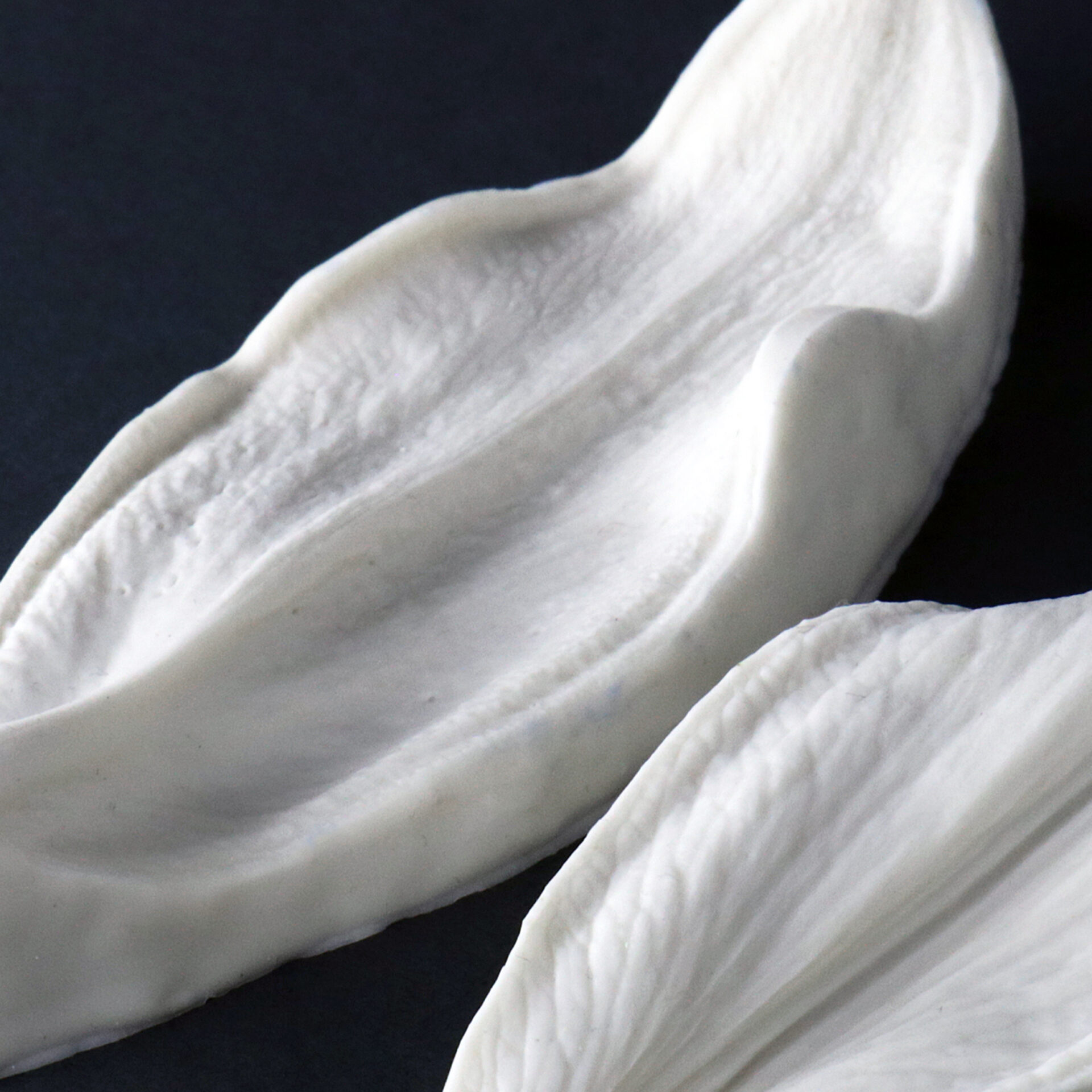 2021-03-29 00.29.34a