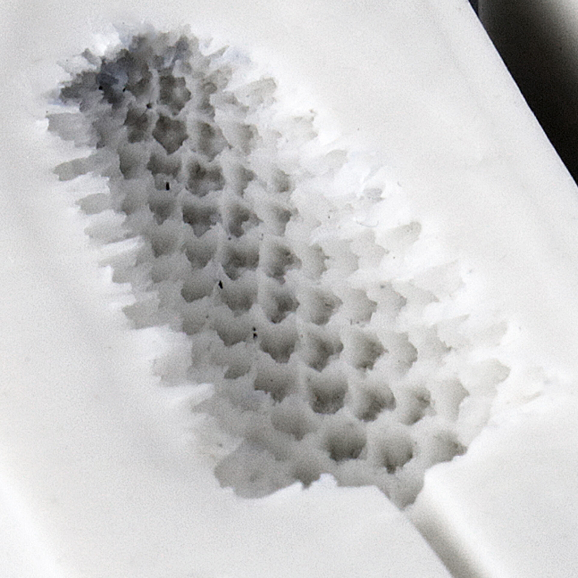 2021-03-29 01.17.22a