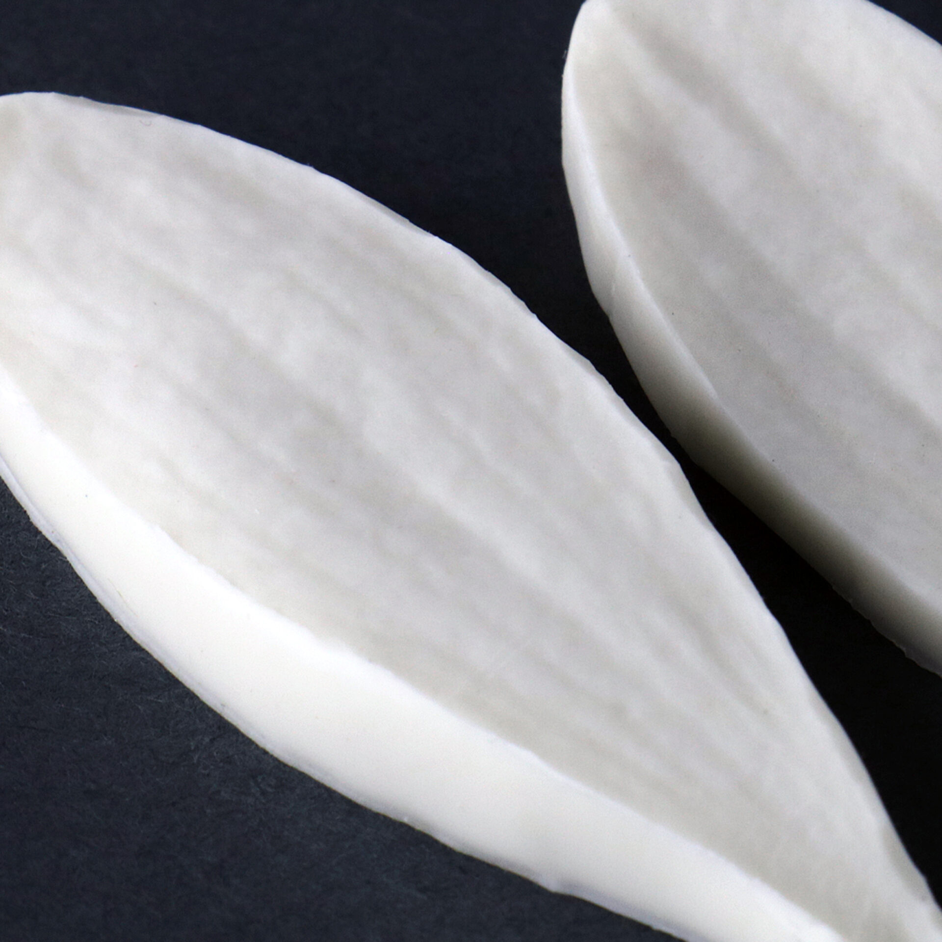 2021-03-29 01.43.05a