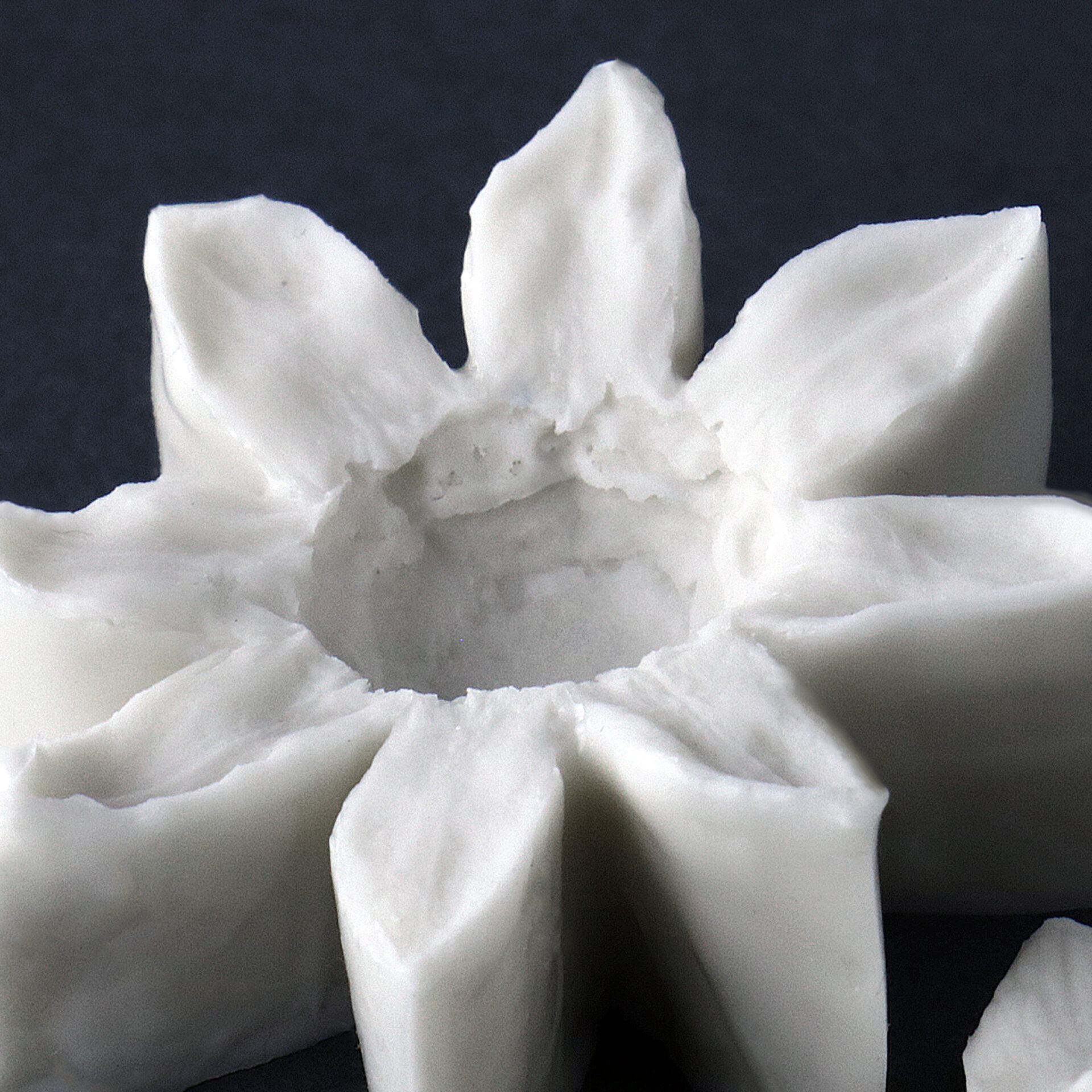 2021-03-29 22.57.03a