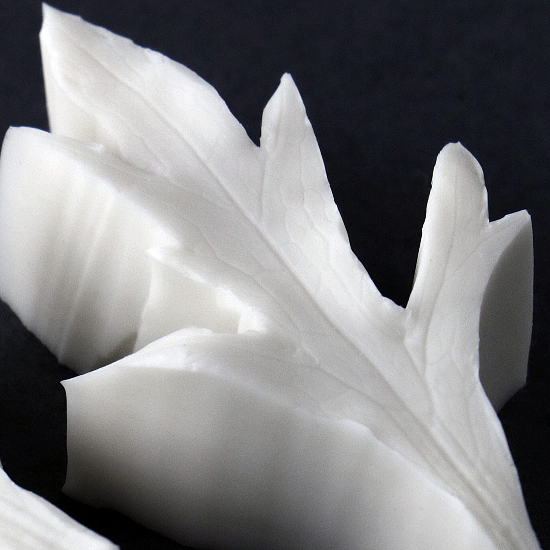 2021-03-29 23.00.56a