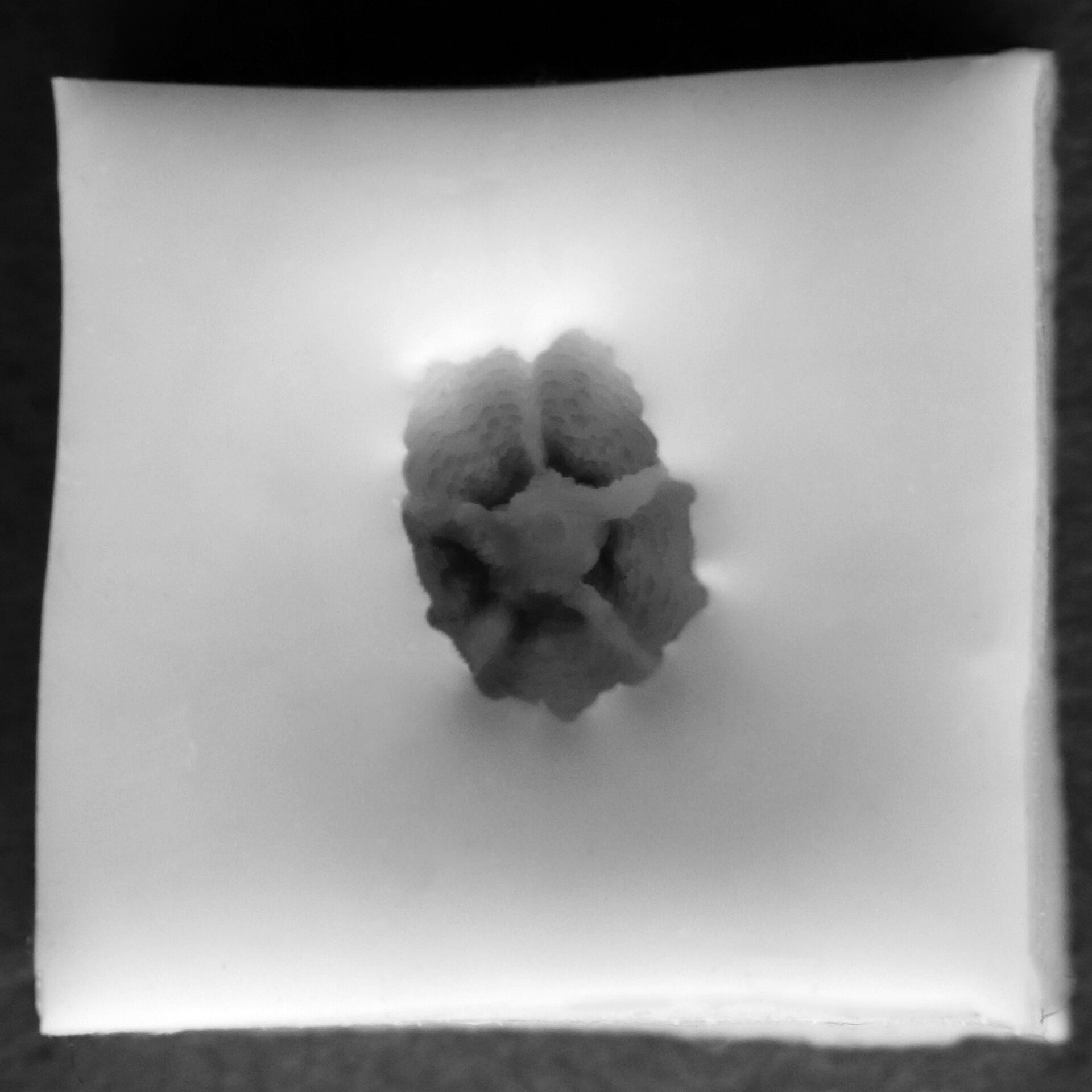 2021-03-30 23.05.04