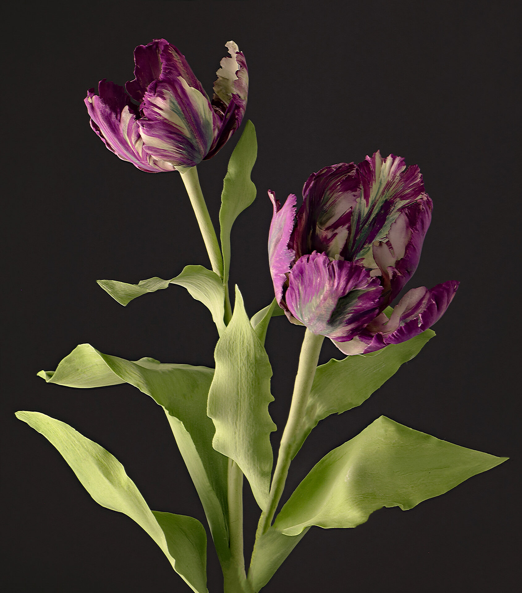 091