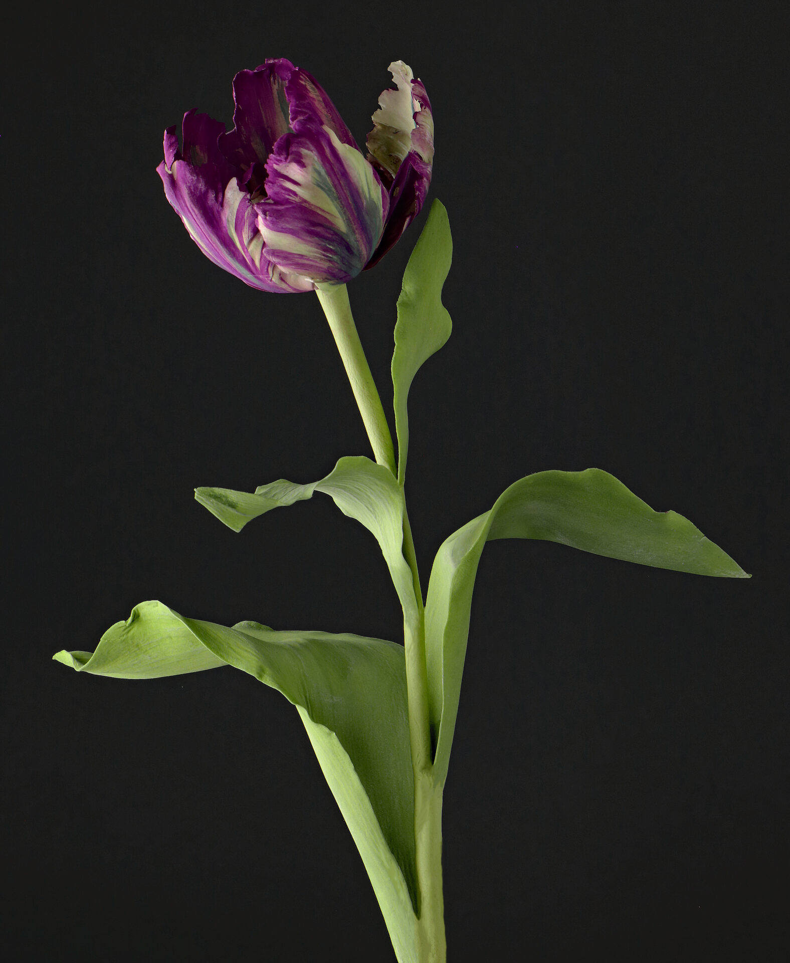 095