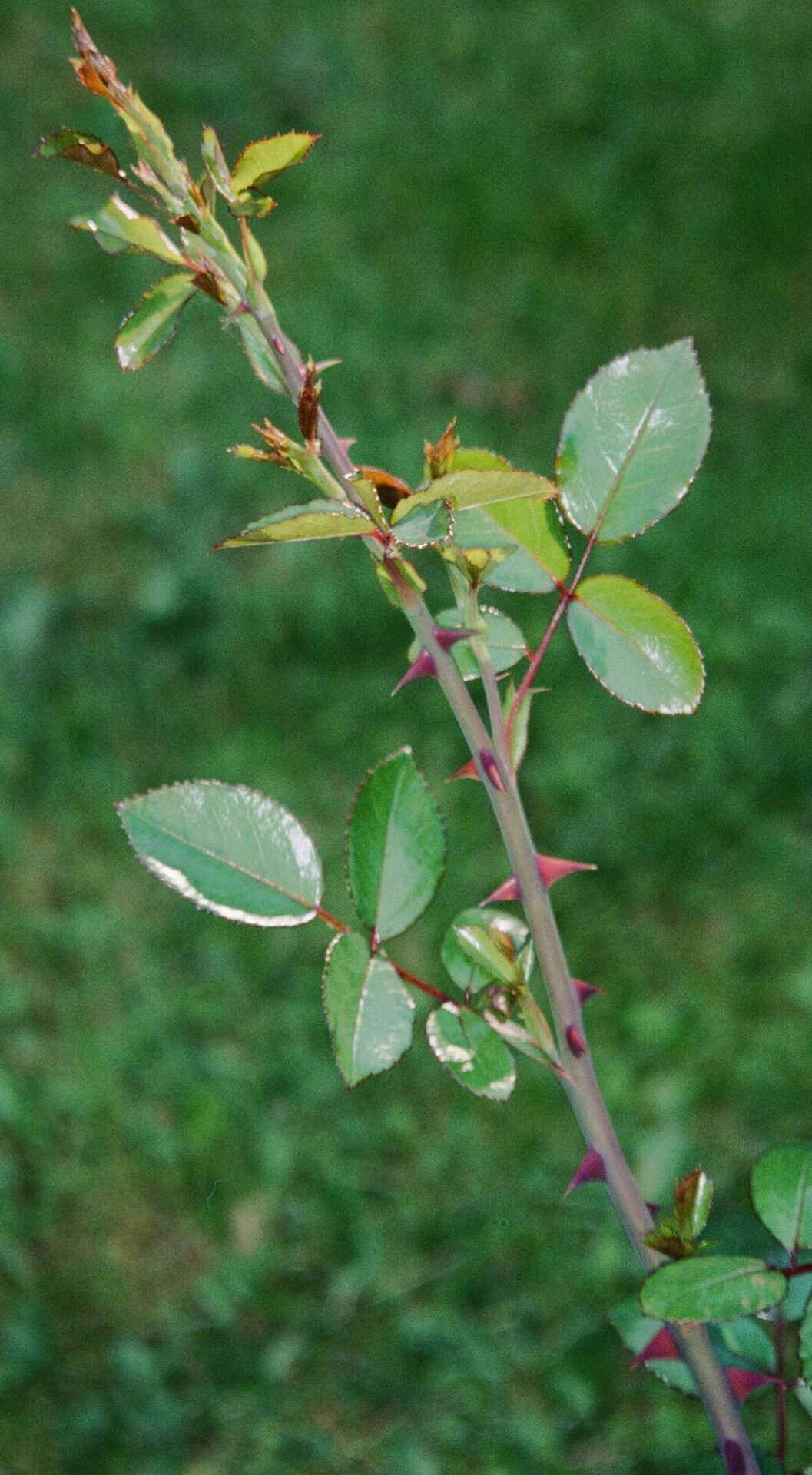 natalia-trofimova-NbvcQ9bQLPQ-unsplash