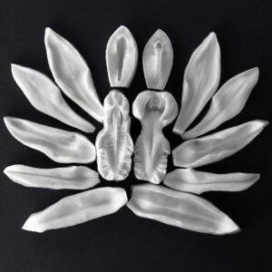 Coelogyne Mayeriana Orchid Botanically Correct Veiners & Mould Set of 6 By Robert Haynes
