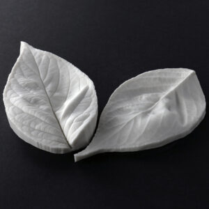 Cherry - Ornamental Extra Large Leaf Veiner Botanically Correct Products By Robert Haynes