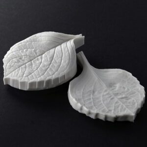 Hydrangea Small Leaf Botanically Correct Veiner By Robert Haynes