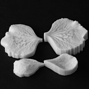 Hydrangea (Macrophylla Emerald) Small Petal Set Of 2 Botanically Correct Veiners By Robert Haynes