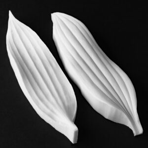 Lily - Oriental Large Leaf Botanically Correct Veiner By Robert Haynes