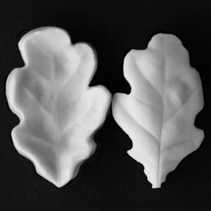 Oak Extra Small Leaf Veiner Botanically Correct Products By Robert Haynes