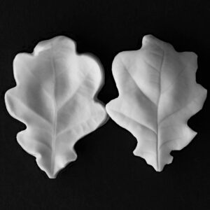 Oak Small Leaf Veiner Botanically Correct Products By Robert Haynes