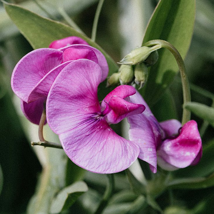 annie-spratt-PVhg7KWl-wk-unsplash