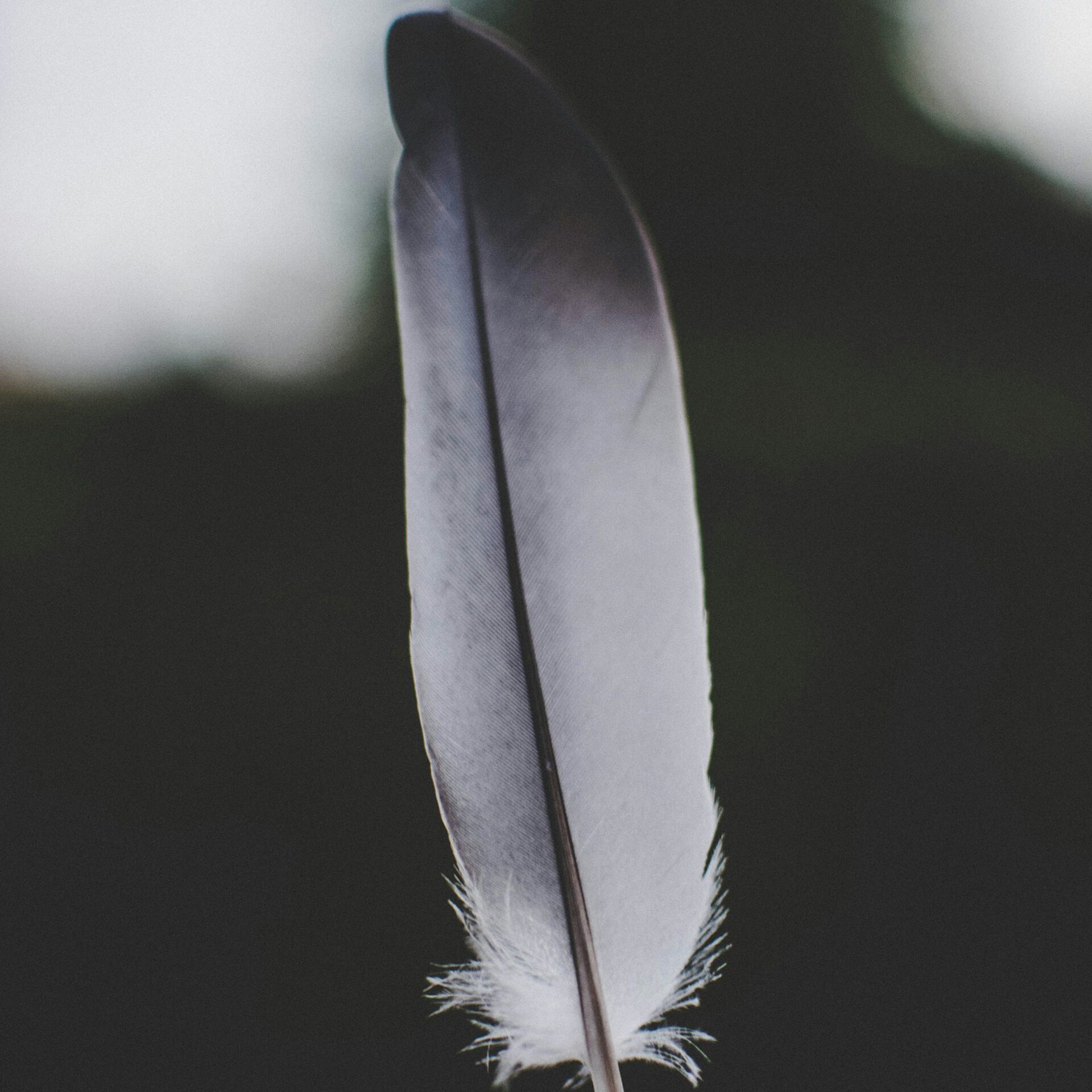 lilartsy-zJGgiEpek1s-unsplash