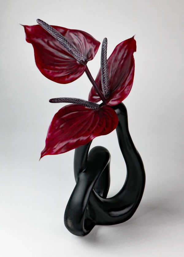 anthurium zizou Anthurium Zizou – Sky and Greens
