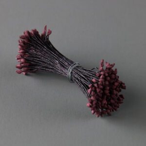 Brown Small Seed Head Stamens